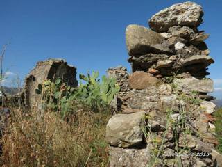 n Michele Forza Agro-31-08-2015 09-01-14
